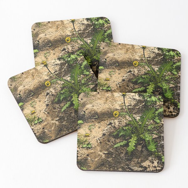 Item preview, Rokovačka Forest Dandelion – Natural Punk Sketch | Wearable Identity Collection designed and sold by InnerwayStudio.