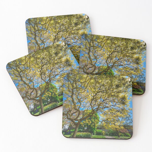 Item preview, Pierremont Park Broadstairs designed and sold by Alisonchambers2.
