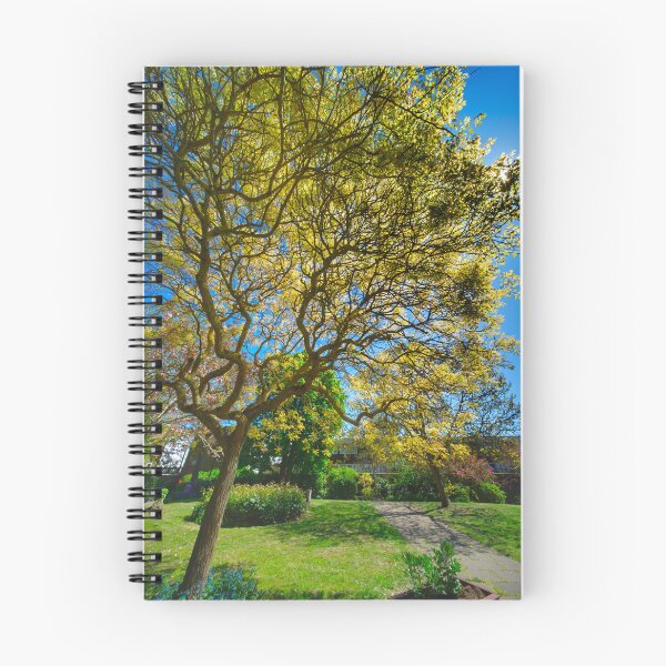 Item preview, Pierremont Park Broadstairs designed and sold by Alisonchambers2.
