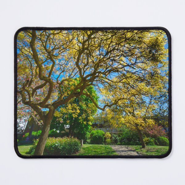 Item preview, Pierremont Park Broadstairs designed and sold by Alisonchambers2.