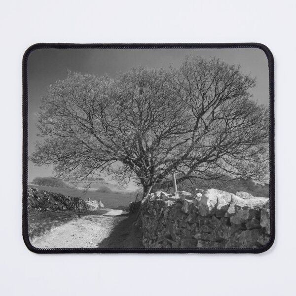 Item preview, Footpath to Ingleborough  designed and sold by Alisonchambers2.