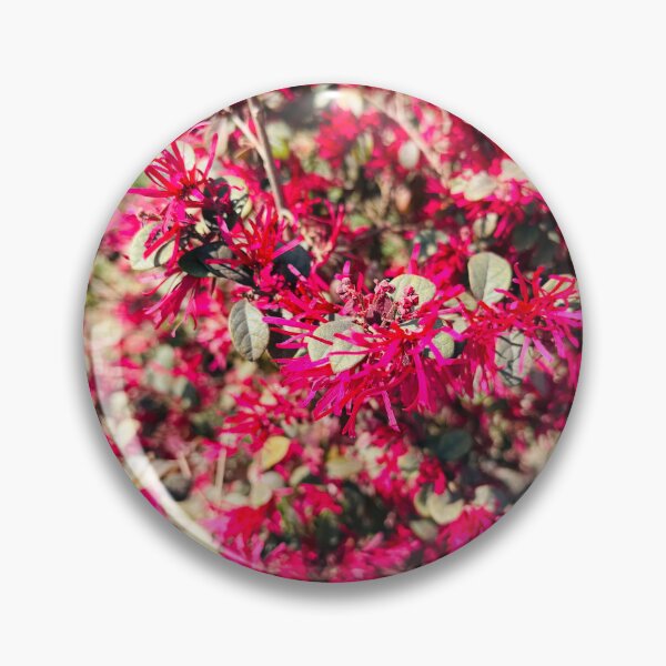 Item preview, Vibrant Pink Chinese Fringe Flower Shrub designed and sold by BalkanBloom.