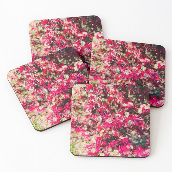 Item preview, Vibrant Pink Chinese Fringe Flower Shrub designed and sold by BalkanBloom.