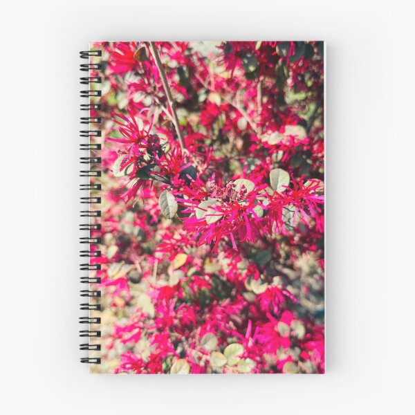 Item preview, Vibrant Pink Chinese Fringe Flower Shrub designed and sold by BalkanBloom.