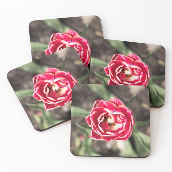 Item preview, Vibrant Double Petaled Tulip Flower in Bloom designed and sold by Georgia Mizuleva.