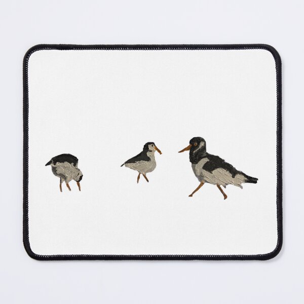 Item preview, A trio of Oystercatchers designed and sold by Tracey1401.
