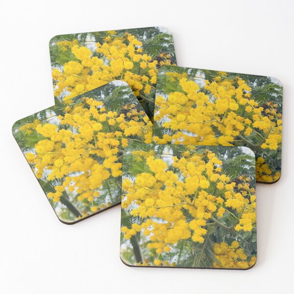 Item preview, Golden Mimosa Acacia Tree in Full Spring Bloom designed and sold by BalkanBloom.