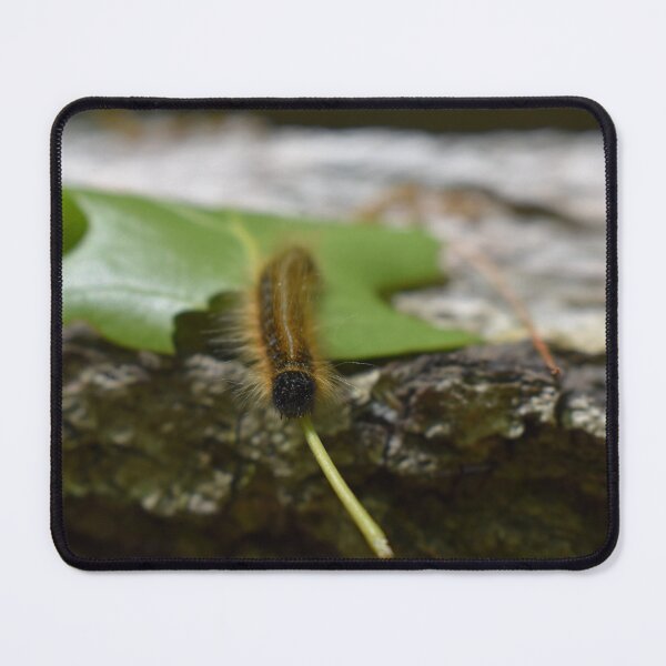 Item preview, Forest Wanderer designed and sold by PrezSwan.