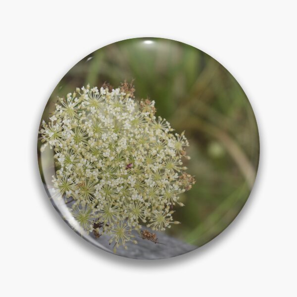 Item preview, Nature’s Lacework designed and sold by PrezSwan.