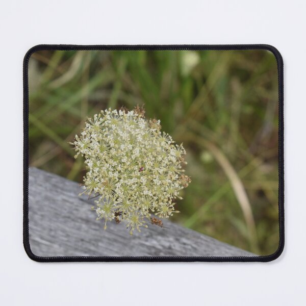 Item preview, Nature’s Lacework designed and sold by PrezSwan.