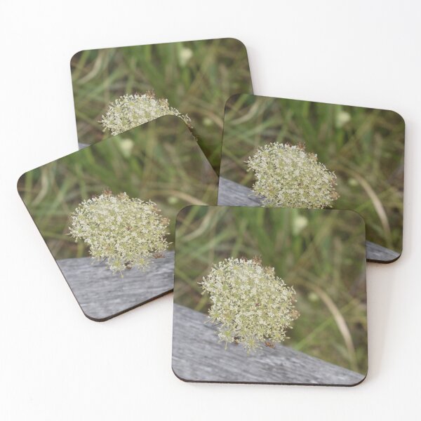 Item preview, Nature’s Lacework designed and sold by PrezSwan.