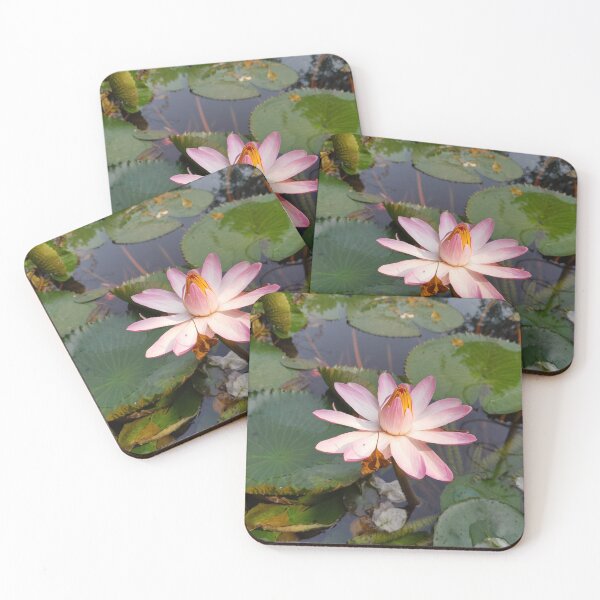 Item preview, A beautiful waterlily in the pond designed and sold by Albi777.