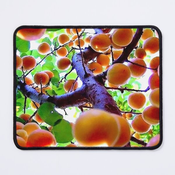 Item preview, Lots of Orange designed and sold by hkonestudio.