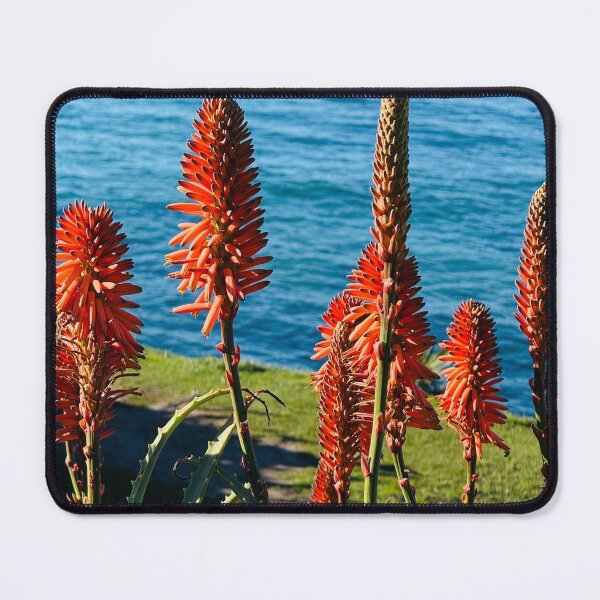 Item preview, Vibrant Orange Aloe Blossoms with Coastal Ocean Backdrop designed and sold by BalkanBloom.