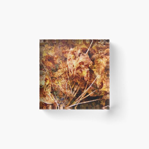Item preview, Ablaze designed and sold by Alexandra Lavizzari.