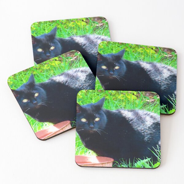 Item preview, Beautiful black cat searching the garden designed and sold by Ribster13.