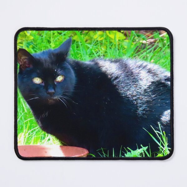 Item preview, Beautiful black cat searching the garden designed and sold by Ribster13.