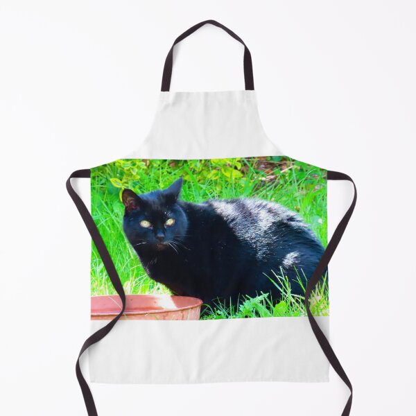 Item preview, Beautiful black cat searching the garden designed and sold by Ribster13.