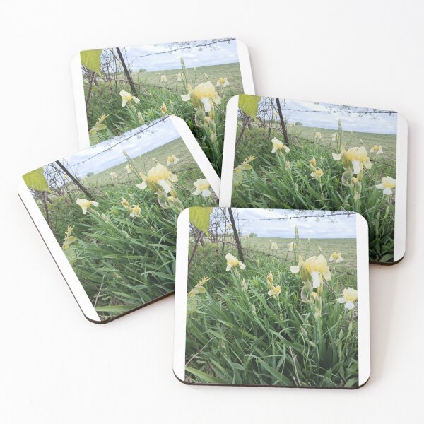 Item preview, White and Yellow Bearded Iris Iris's Patch Fence Line Country designed and sold by Anthony Ryan Parrish.