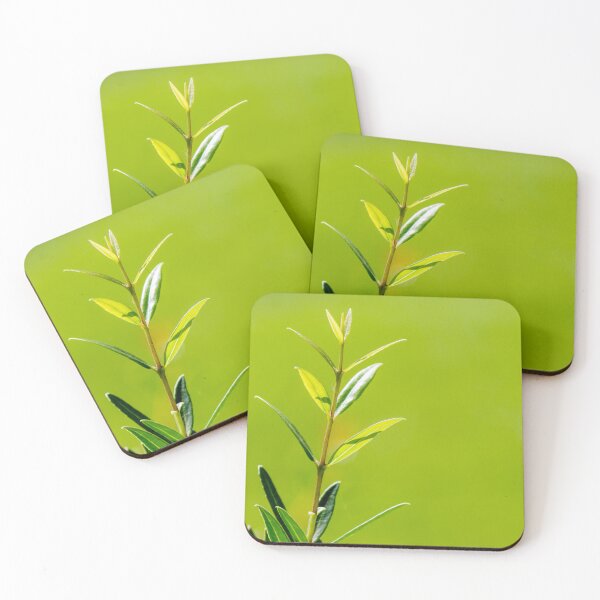 Item preview, Fresh Green Plant Stem With Young Leaves Against Soft Blurred Green Background designed and sold by Nmallia.