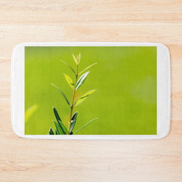 Item preview, Fresh Green Plant Stem With Young Leaves Against Soft Blurred Green Background designed and sold by Nmallia.