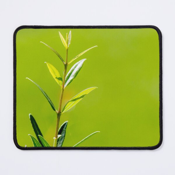 Item preview, Fresh Green Plant Stem With Young Leaves Against Soft Blurred Green Background designed and sold by Nmallia.
