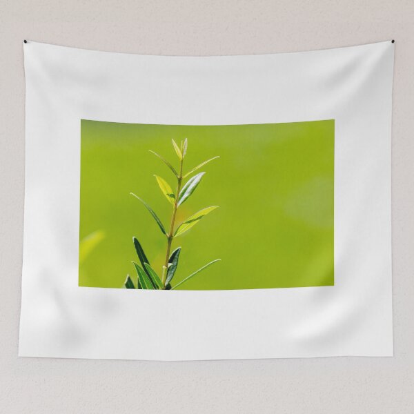 Item preview, Fresh Green Plant Stem With Young Leaves Against Soft Blurred Green Background designed and sold by Nmallia.
