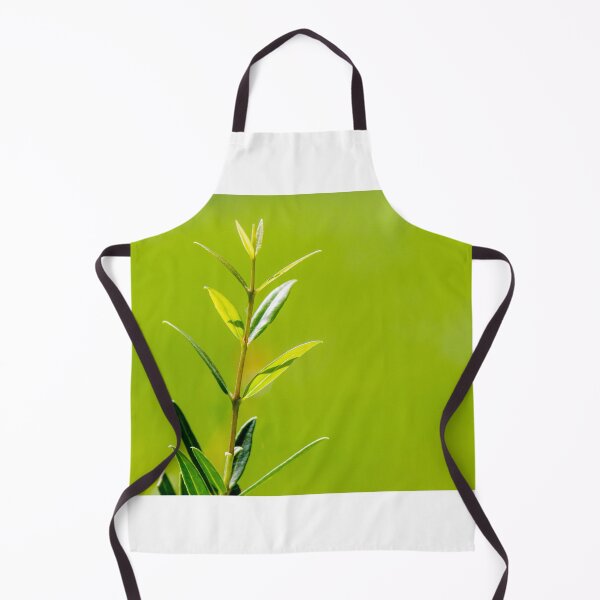 Item preview, Fresh Green Plant Stem With Young Leaves Against Soft Blurred Green Background designed and sold by Nmallia.