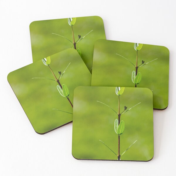 Item preview, Fresh Green Plant Stem With Young Leaves Against Soft Blurred Green Background designed and sold by Nmallia.