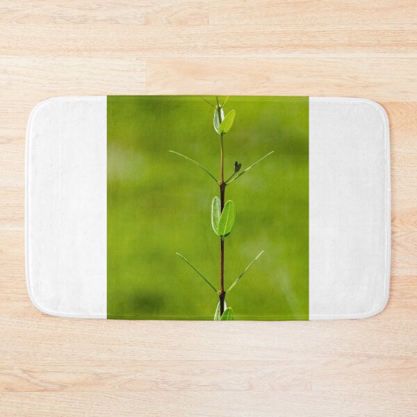 Item preview, Fresh Green Plant Stem With Young Leaves Against Soft Blurred Green Background designed and sold by Nmallia.