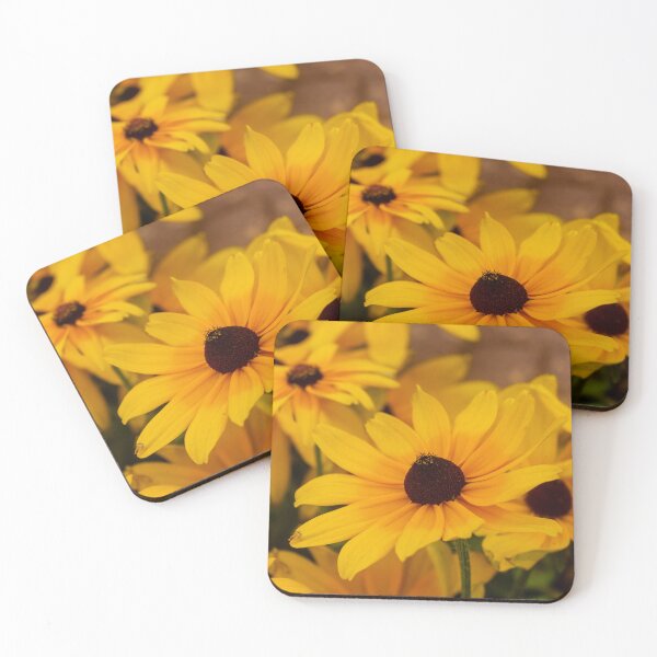 Item preview, Bright Yellow Black-Eyed Susan Flowers Close-Up Showing Petals and Dark Brown Centers in Garden designed and sold by Nmallia.