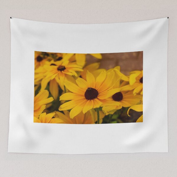 Item preview, Bright Yellow Black-Eyed Susan Flowers Close-Up Showing Petals and Dark Brown Centers in Garden designed and sold by Nmallia.