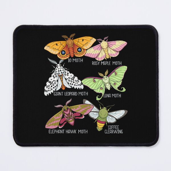 Item preview, Moth Species Insects Lover Men Moths designed and sold by DSWShirts.