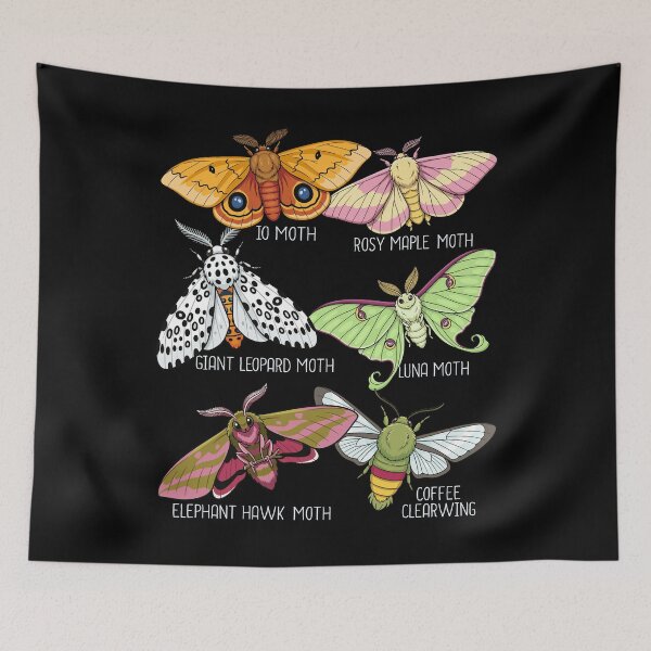 Item preview, Moth Species Insects Lover Men Moths designed and sold by DSWShirts.
