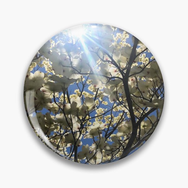 Item preview, Dog wood trees with sunshine, REAL photograph designed and sold by GiSilver.