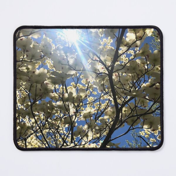 Item preview, Dog wood trees with sunshine, REAL photograph designed and sold by GiSilver.