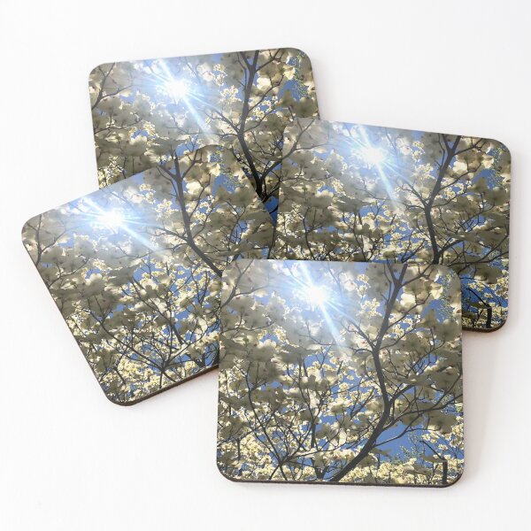 Item preview, Dog wood trees with sunshine, REAL photograph designed and sold by GiSilver.