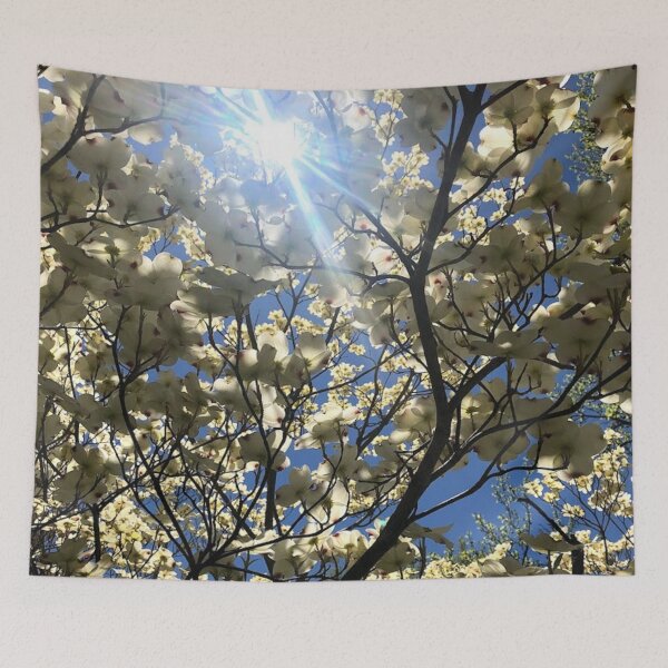 Item preview, Dog wood trees with sunshine, REAL photograph designed and sold by GiSilver.