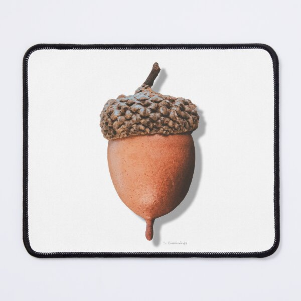 Item preview, Warm Brown Acorn Art Botanical Country Oak Tree designed and sold by Sharon Cummings Art.
