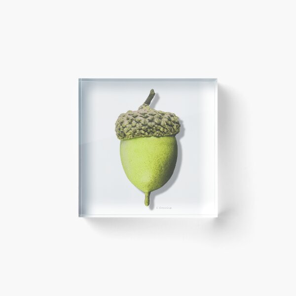 Item preview, Fresh Green Acorn Art Botanical Country Oak Tree designed and sold by Sharon Cummings Art.