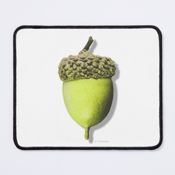 Item preview, Fresh Green Acorn Art Botanical Country Oak Tree designed and sold by Sharon Cummings Art.