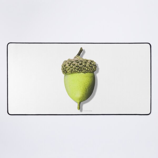 Item preview, Fresh Green Acorn Art Botanical Country Oak Tree designed and sold by Sharon Cummings Art.