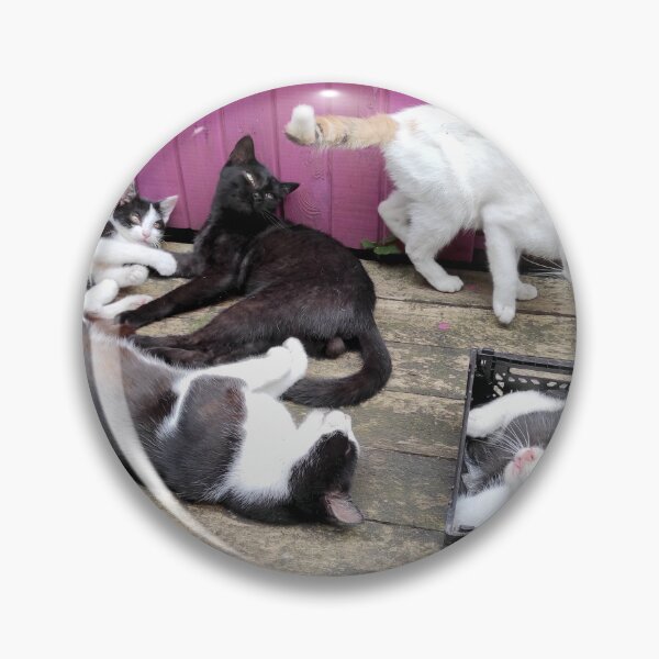 Item preview, Cat family designed and sold by Gourmetkater.