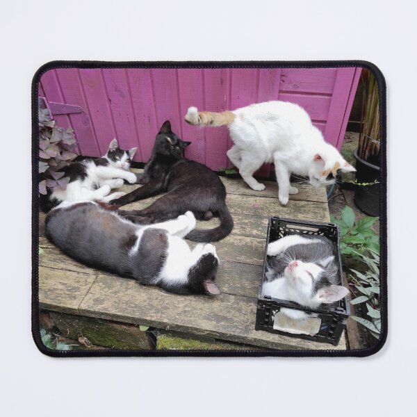 Item preview, Cat family designed and sold by Gourmetkater.