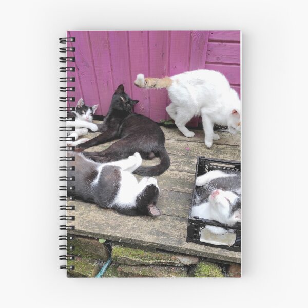 Item preview, Cat family designed and sold by Gourmetkater.