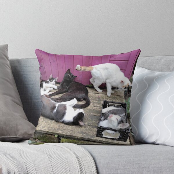 Item preview, Cat family designed and sold by Gourmetkater.