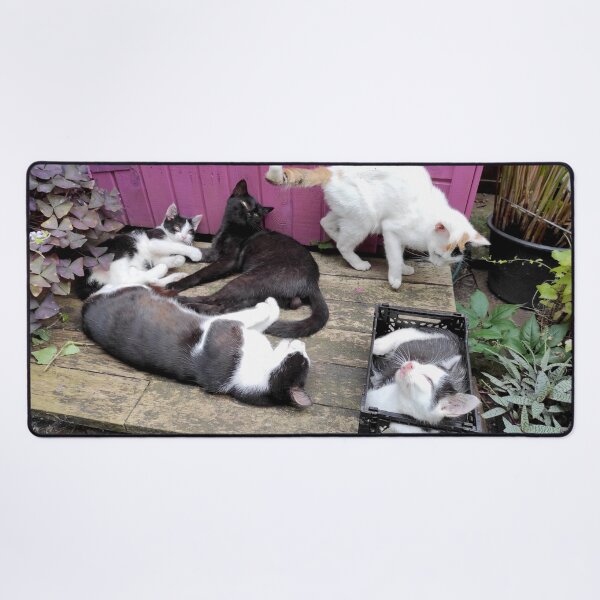 Item preview, Cat family designed and sold by Gourmetkater.