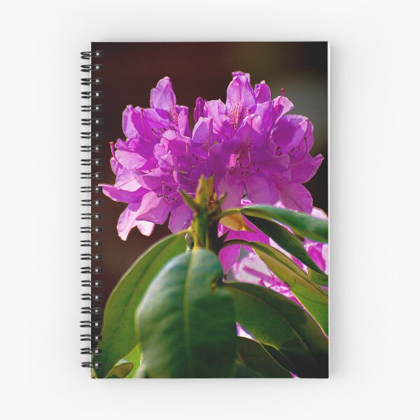 Item preview, Blooming in the April Sun designed and sold by James Hoffman.