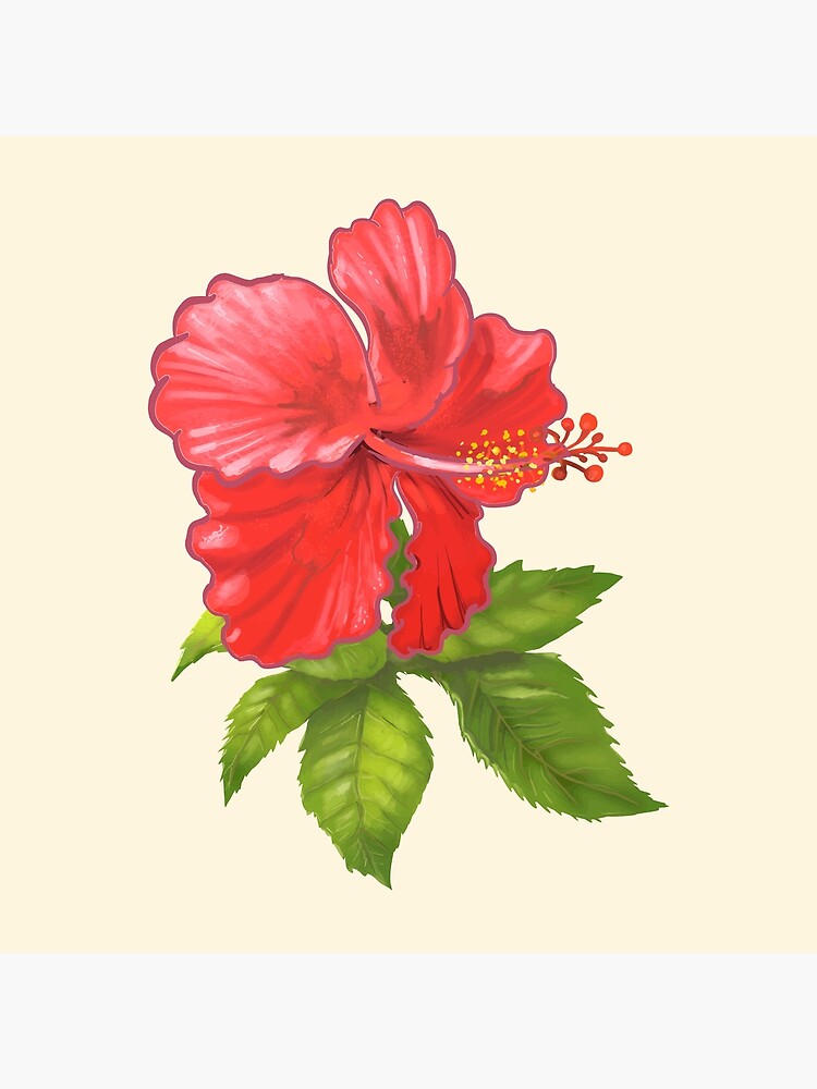 Tarjetas de felicitación «Pintura de flor hawaiana de hibisco rosa tropical»  de newburyboutique | Redbubble