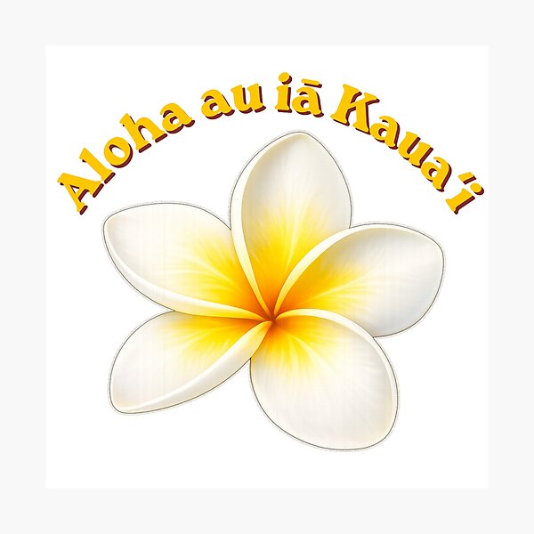 Item preview, Aloha au iā Kauaʻi – Hawaiian Plumeria Flower designed and sold by ulupono.